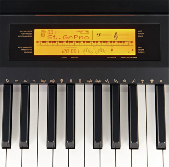 Цифровое пианино Casio CDP-230R BK