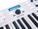 Arturia KeyLab Essential 49 Arturia KeyLab Essential 49